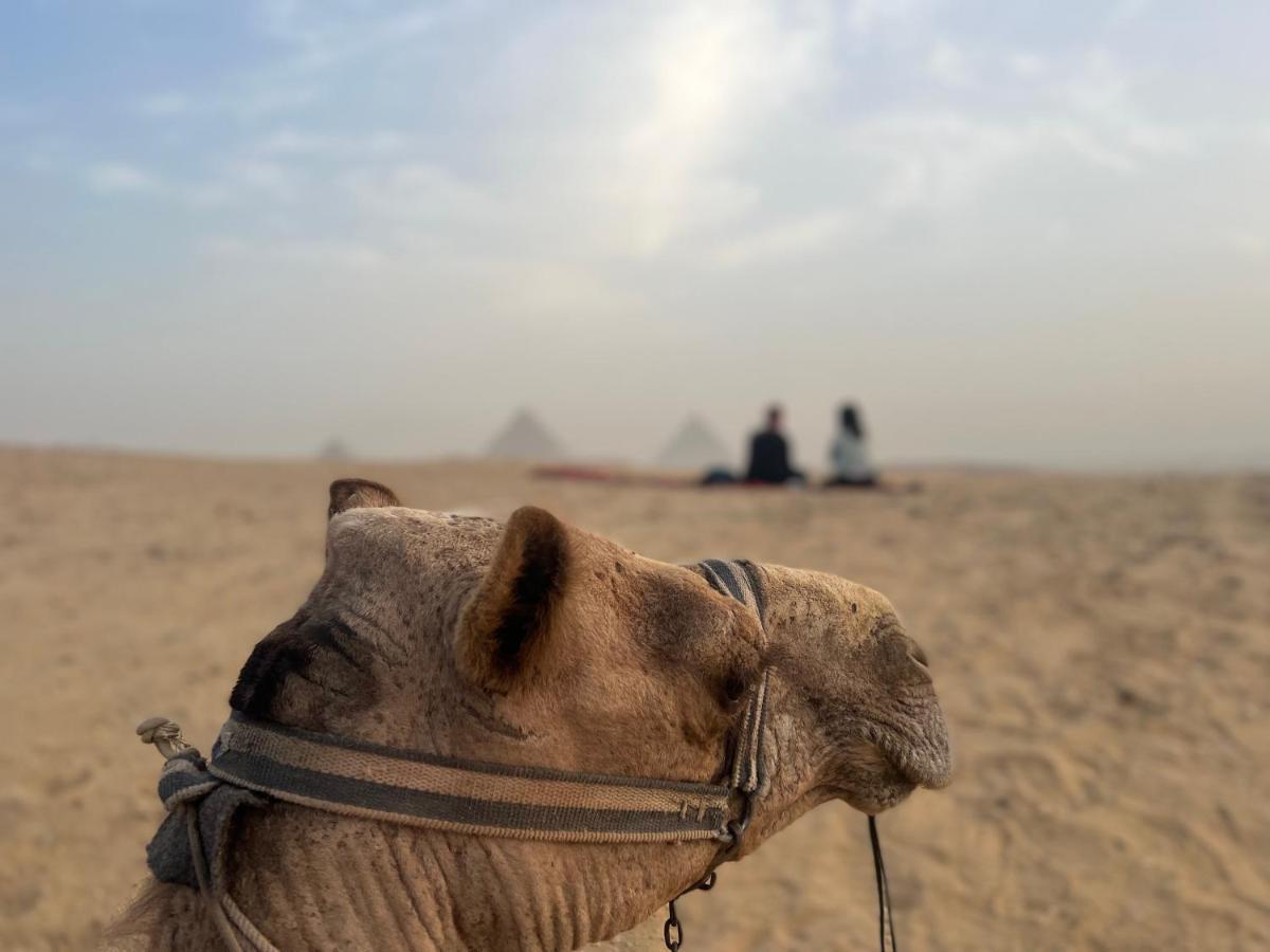 Pyramids Top Success Result Kafret el-Gabal Dış mekan fotoğraf