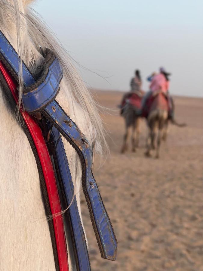 Pyramids Top Success Result Kafret el-Gabal Dış mekan fotoğraf